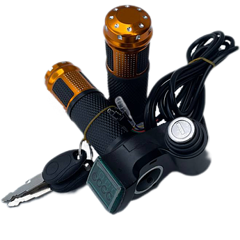 Ручка газу для електротранспорту (золота) з замком запалювання та вольтметром комплект GASH-00007998-3