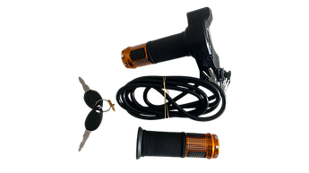 Ручка газу для електротранспорту (золота) з замком запалювання, вольтметром та кнопкою на 3 положення комплект