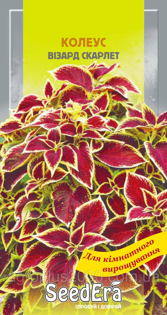 Насіння Колеус Візард Скарлет 10 насінин SeedEra
