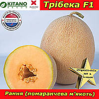 Диня ТРІБЕКА F1 (помаранчева м'якоть), 1000 насінин, ТМ Kitano Seeds (Нідерланди)