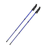 Палка для скандинавської ходьби Energia EasyFit EF-3924-BL, синя