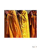 Олівер Люк Делорі - Вабі-сабі. Пошук краси в недосконалості, фото 4