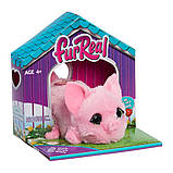 Інтерактивна іграшка FURREAL серії «My Mini's» - МАЛЕНЬКЕ ПОРОСЯ, фото 9