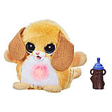 Інтерактивна іграшка FURREAL серії "Fuzz-A-Lots" - ЦУЦЕНЯ, фото 3