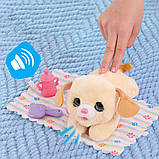 Інтерактивна іграшка FURREAL серії "Newborns" – ЦУЦЕНЯТКО, фото 5