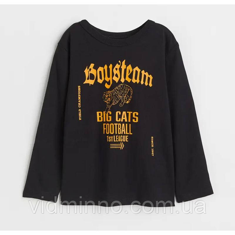 Дитяча кофта лонгслів реглан H&M на хлопчика, 122/128, фото 1