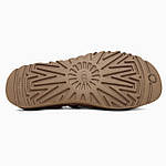 Чоловічі клоги UGG Goldenstar Clog Chestnut (коричневі) модні шльопанці ugg-0116 Уги топ, фото 3
