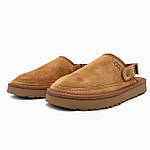 Чоловічі клоги UGG Goldenstar Clog Chestnut (коричневі) модні шльопанці ugg-0116 Уги топ, фото 7