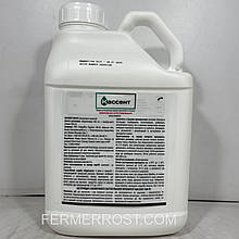 Інсектицид Кассент (Terra Vita) 5л