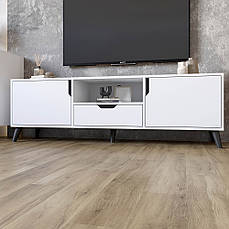 Тумба під телевізор з чорними ніжками М-ЗОН Борн 1600 Німфея Альба (білий) PREMIUM