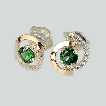 Сережки гвоздики