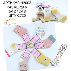 Махрові шкарпетки з гальмами для дівчинки "Малятко" Розміри: 0-6, 6-12, 12-18 (11328)