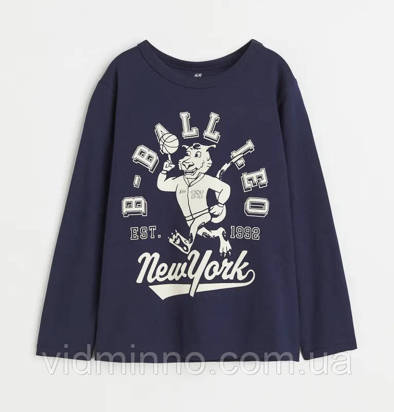 Дитяча кофта лонгслів реглан H&M на хлопчика / 98-104, фото 1