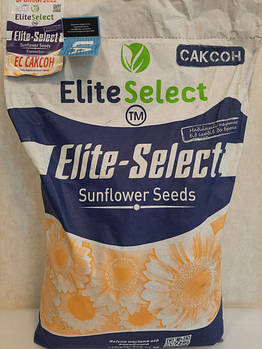 Насіння соняшнику ультрараннього під Гранстар