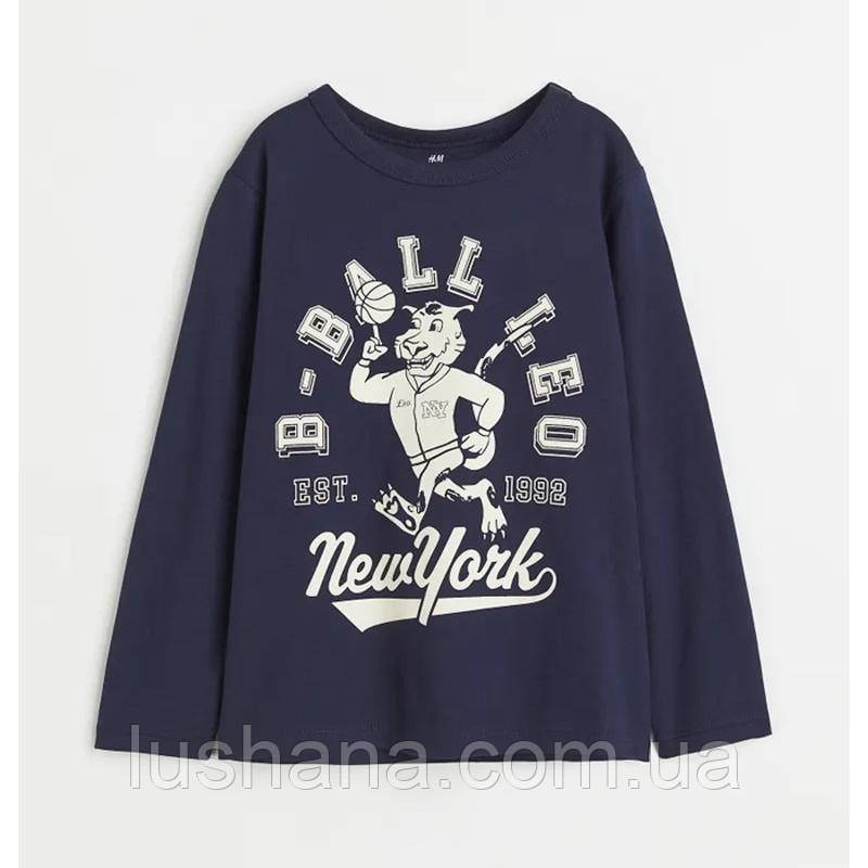 Дитяча кофта лонгслів H&M для хлопчика р.98/104, фото 1