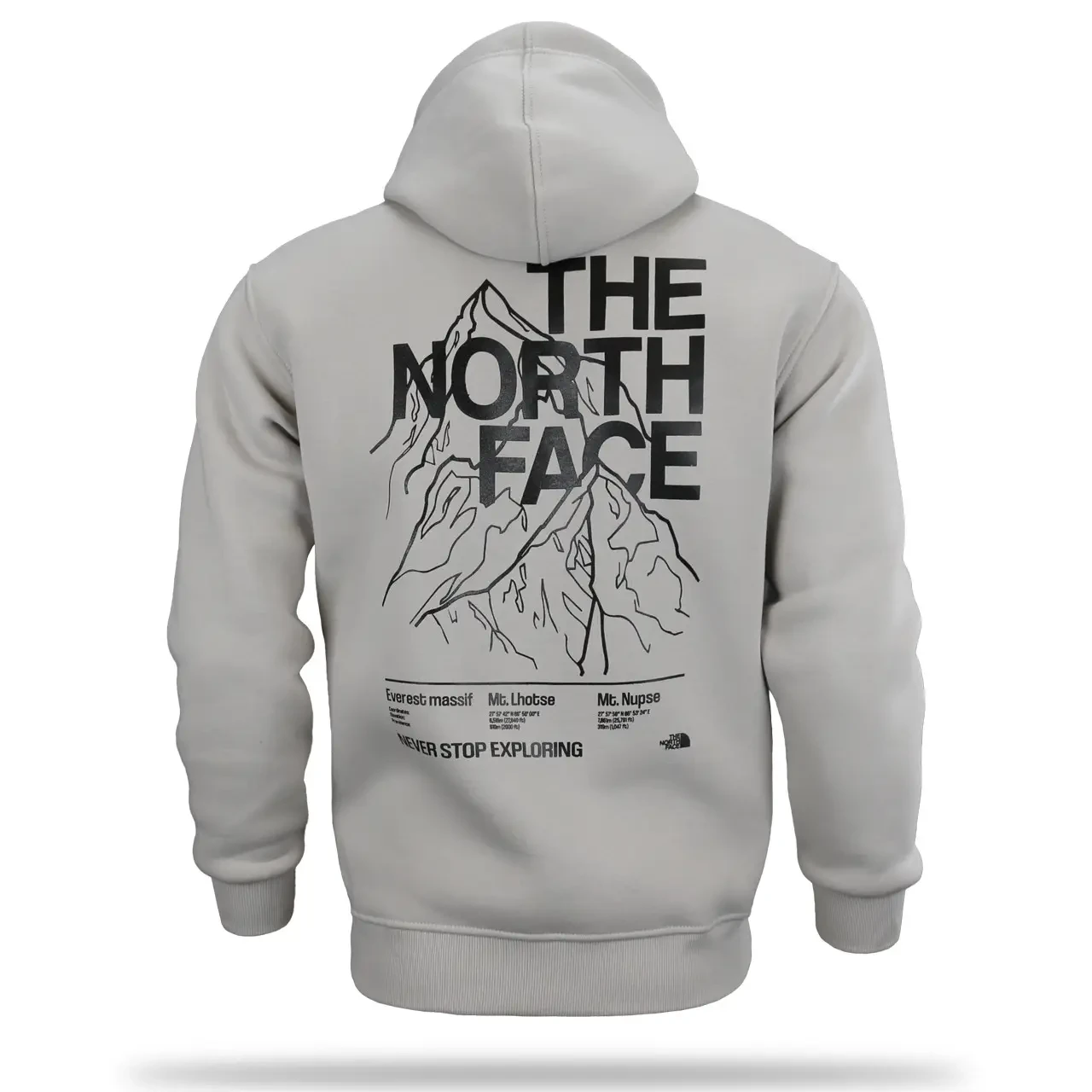 Худі The North Face світло-сіра тепла м’яка якісна на флісі з начосом, фото 1