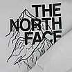 Худі The North Face світло-сіра тепла м’яка якісна на флісі з начосом, фото 7