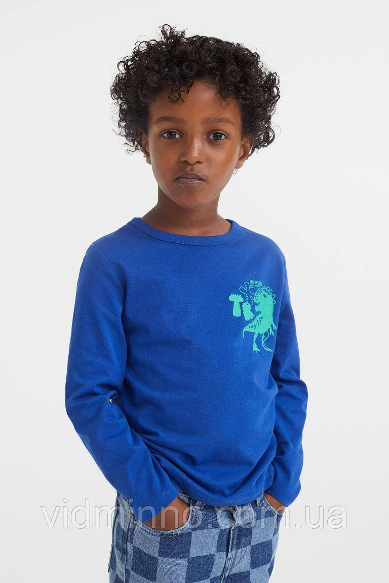 Дитяча кофта лонгслів реглан H&M на хлопчика, динозавр / 98-104, фото 1