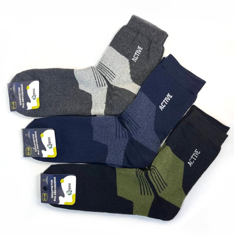 Шкарпетки чоловічі повна махра "Active" 25-27 р. (12 пар!) (Зимові) Варос, фото 1