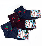 Дитячі шкарпетки демісезонні дитячі Вишенька 18 р. (12 пар!) Варос, фото 2