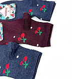 Дитячі шкарпетки демісезонні дитячі Вишенька 18 р. (12 пар!) Варос, фото 6