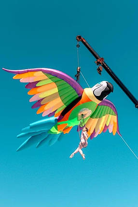 Надувна декорація папуга 800 см з повітродувкою для зовнішньої реклами та фотозон, фото 1