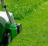 Королевський газон ліліпут для ледачих низькорослий з білою конюшиною Піполіна 5% семена+ сидерат, фото 4