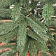 Лита ялинка Буковельська 2,1 м Зелений, фото 4