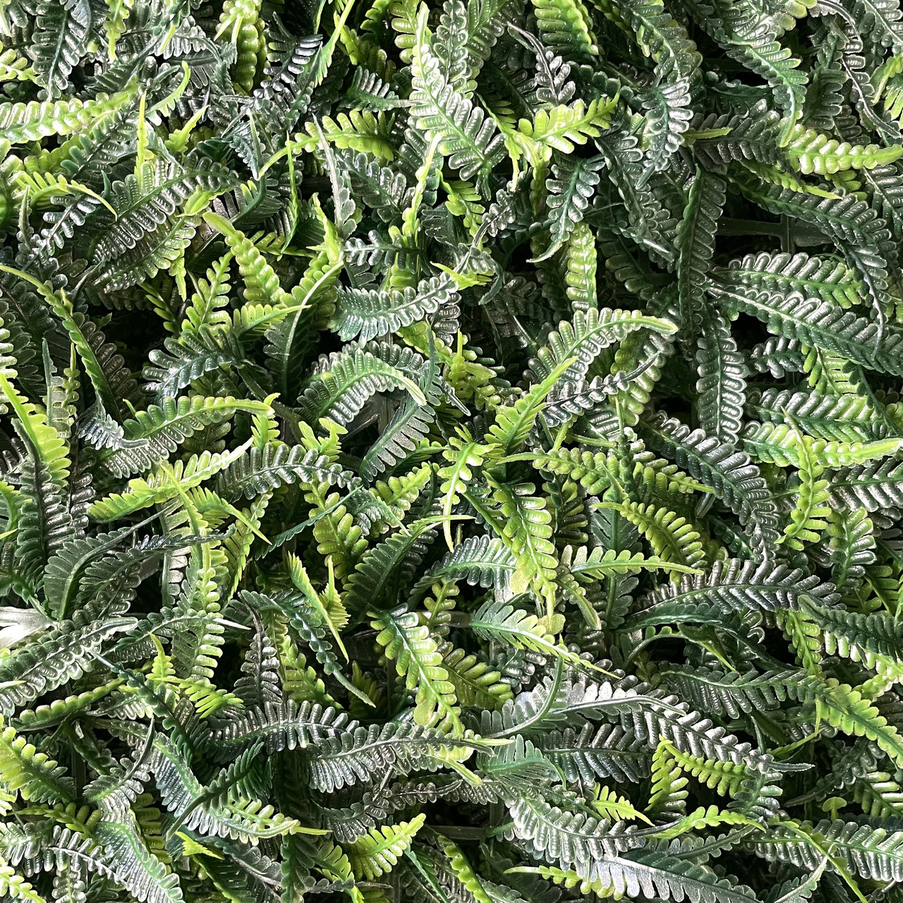 Газон-килимок із папороті для фітостен, 40 × 60 см., фото 1