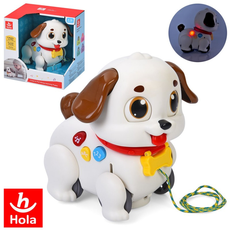 Каталка на мотузці Собака HE9977, 18см, музика-звук (англ), світло, їздить, фото 1