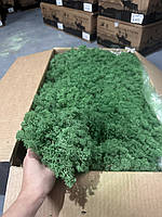 Стабілізований скандинавський мох ягель №78 (трав’яний-зелений) Moss Nature