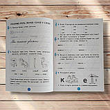 Прописи 1 клас Частина 4 До букваря Вашуленка М. Читаю Записую Пізнаю слово Авт: Вашуленко М. Вид: Освіта, фото 4