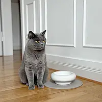 Керамічна миска для кішок MYCO 17см стійка до подряпин безпечна для корми та води біла