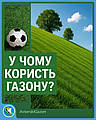 Ви впевнені, що газони корисні?
