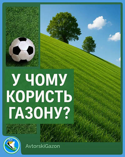 Ви впевнені, що газони корисні?