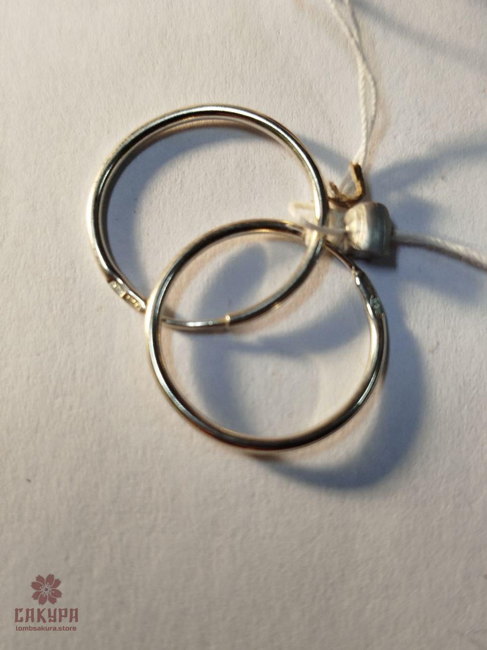 Срібні Сережки, фото 1