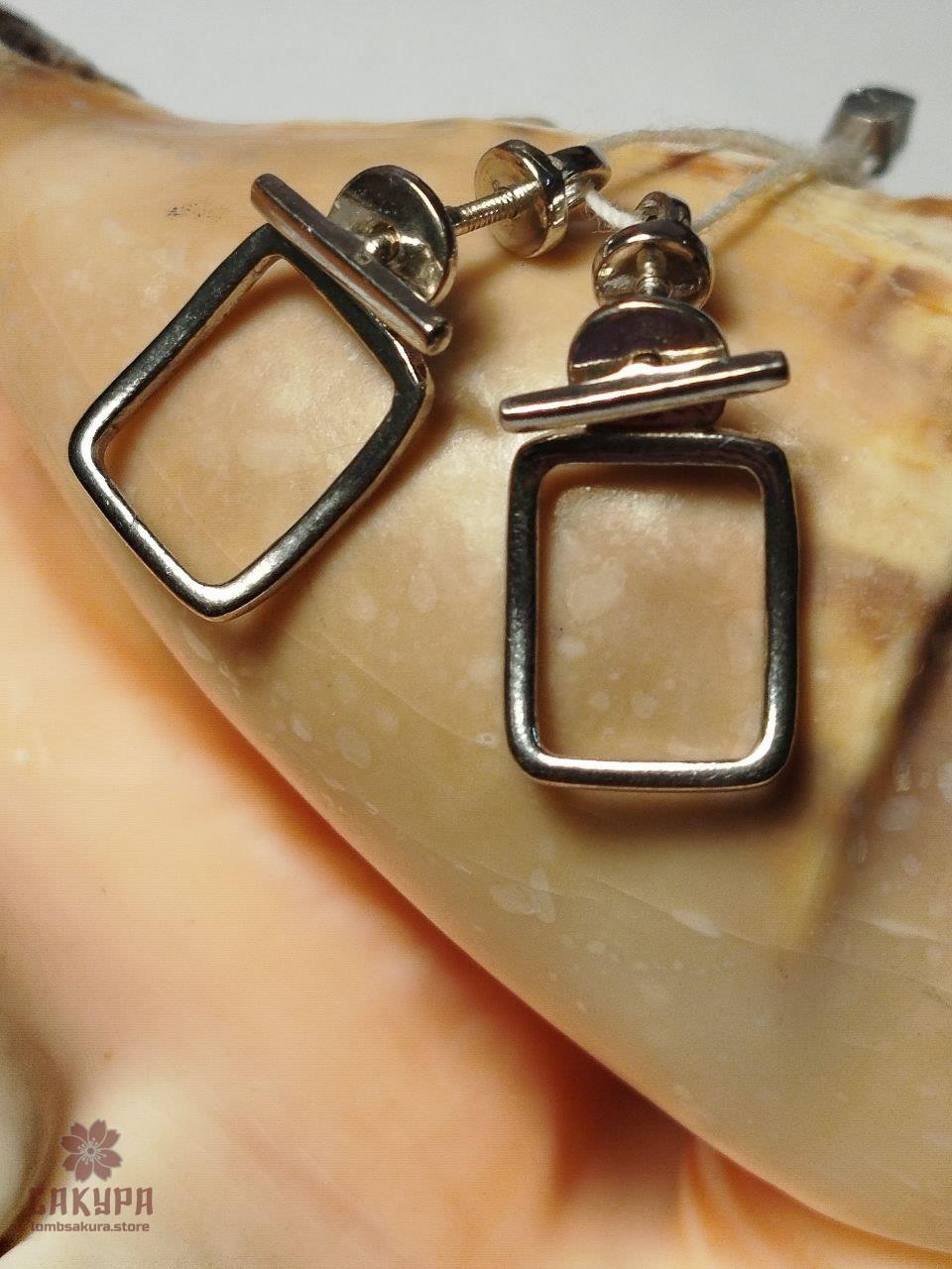 Срібні Сережки, фото 1