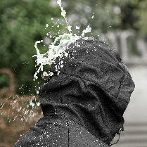 Куртка Stalker SoftShell Чорна (7226), XS, фото 4