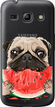 Чохол на Samsung Galaxy Star Advance G350E Мопс і кавун "4665u-210-851"