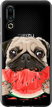 Чохол на Meizu 16S Мопс і кавун "4665u-1701-851"