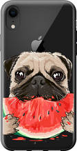 Чохол на iPhone XR Мопс і кавун "4665u-1560-851"