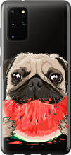 Чохол на Samsung Galaxy S20 Plus Мопс і кавун "4665u-1822-851"