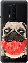 Чохол на OnePlus 8 Pro Мопс і кавун "4665u-1896-851"