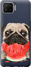 Чохол на Oppo A73 Мопс і кавун "4665u-1379-851"