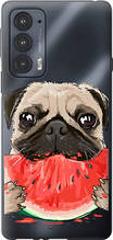 Чохол на Motorola Edge 20 Мопс і кавун "4665u-2497-851"