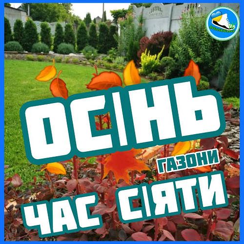 Чи варто сіяти газони восени?