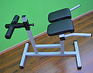 Гіпертекстензія горизонтальна Malchenko (ПС-18), фото 2