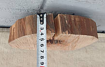 Натуральний зріз дерева для випалювання, d 230х220мм., фото 4