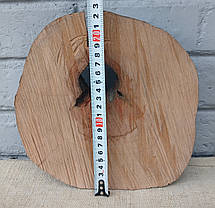 Натуральний зріз дерева для випалювання, d 230х220мм., фото 5