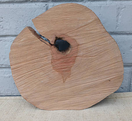 Зріз дерева для виготовлення декоративних виробів, d 230х230мм., фото 1